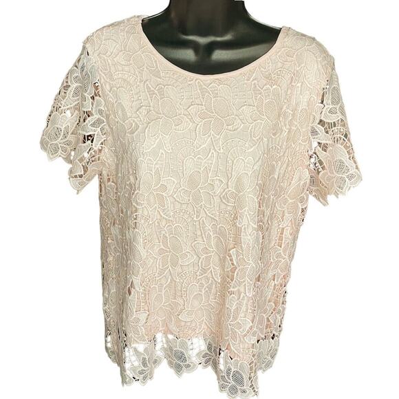 Philosophy NWT Pink Floral Lace Blouse Size Medium - Picture 2 of 7